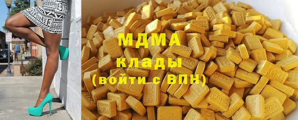 гашик Ельня