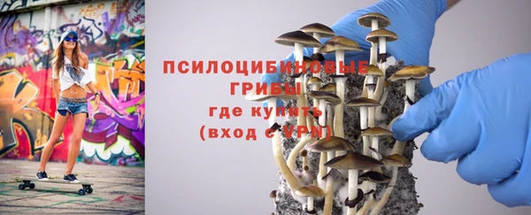 mix Новодвинск