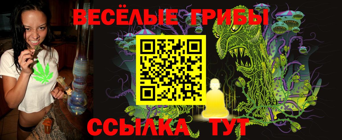 Галлюциногенные грибы ЛСД  Алексеевка 